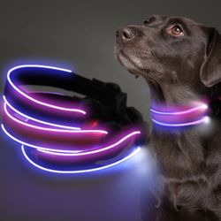 Dog Collar 