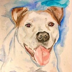 Pet Portraits