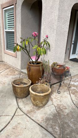Back yard planter set