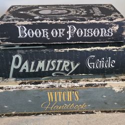 Witch's Handbook Vintage Style Faux Fake Books Decor Halloween Stash Box Boxes Palmistry Poison 