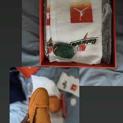 Gatorade Jordan 1 