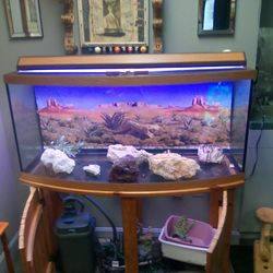 Is a 55 gallon fish tank salt