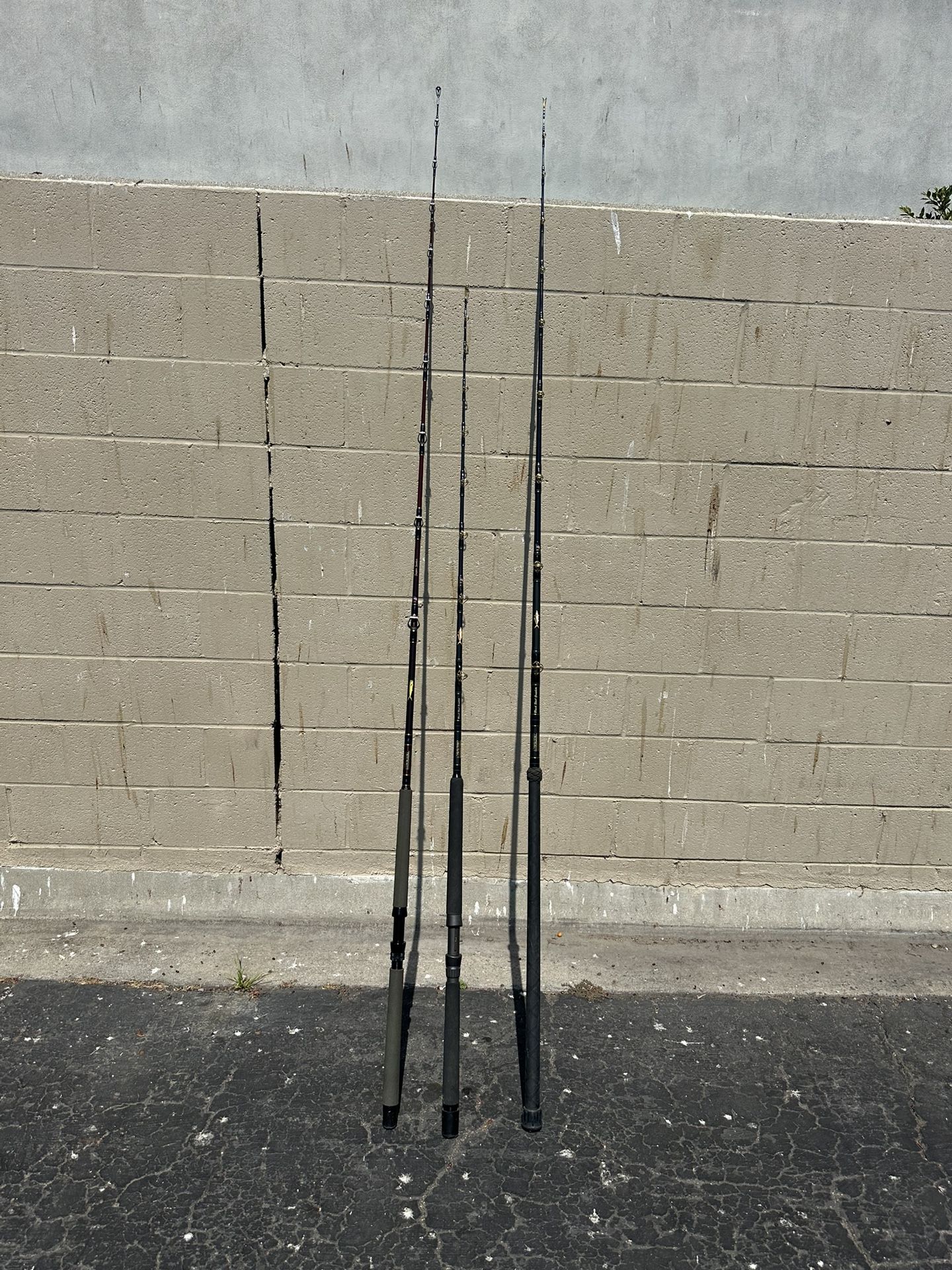 Seeker Deep Sea Polls And Avet Reels