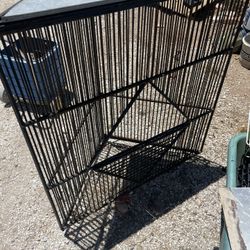 Bird Cage 
