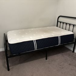 Farmhouse Style Metal Frame Twin Bed With Mattress 