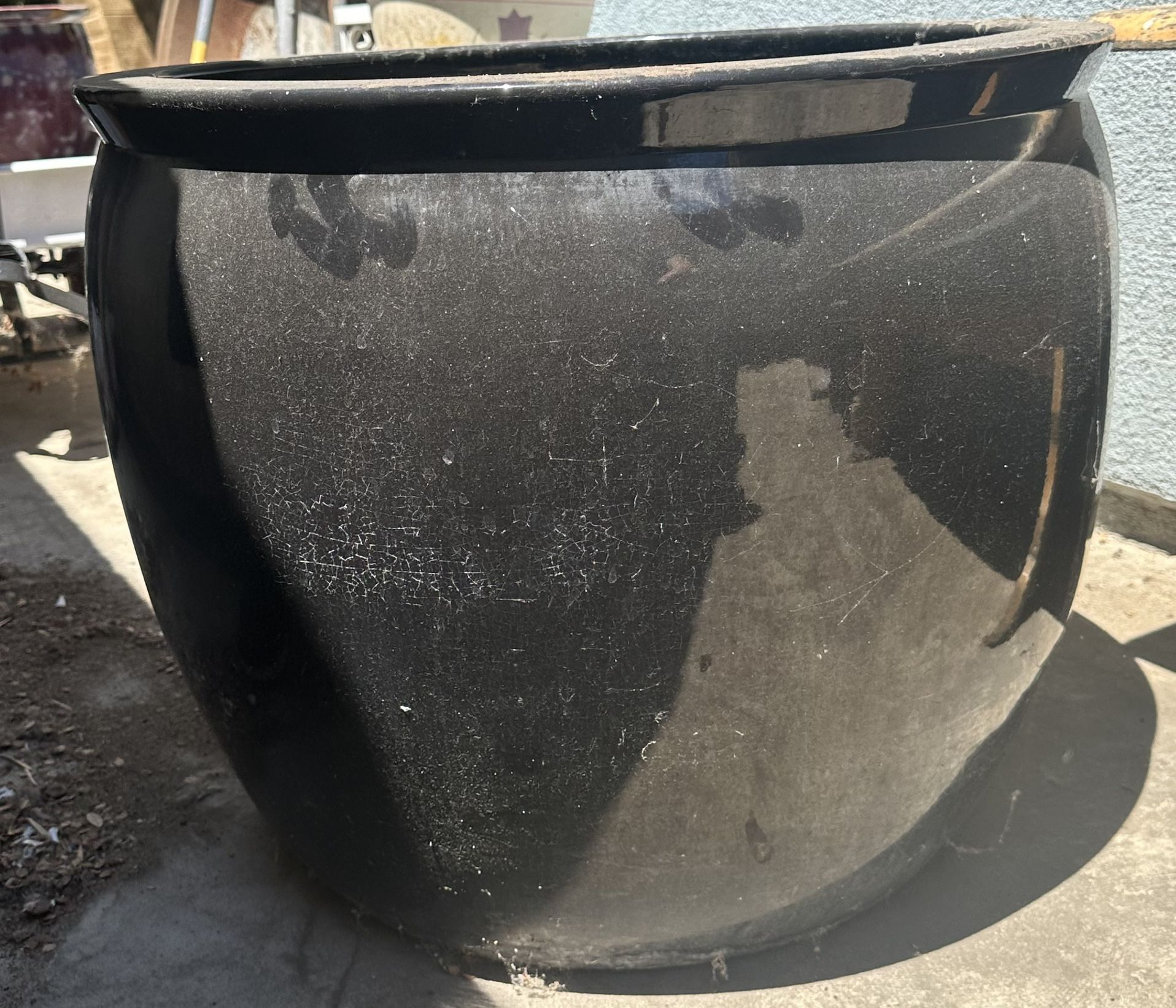 Plant Pot