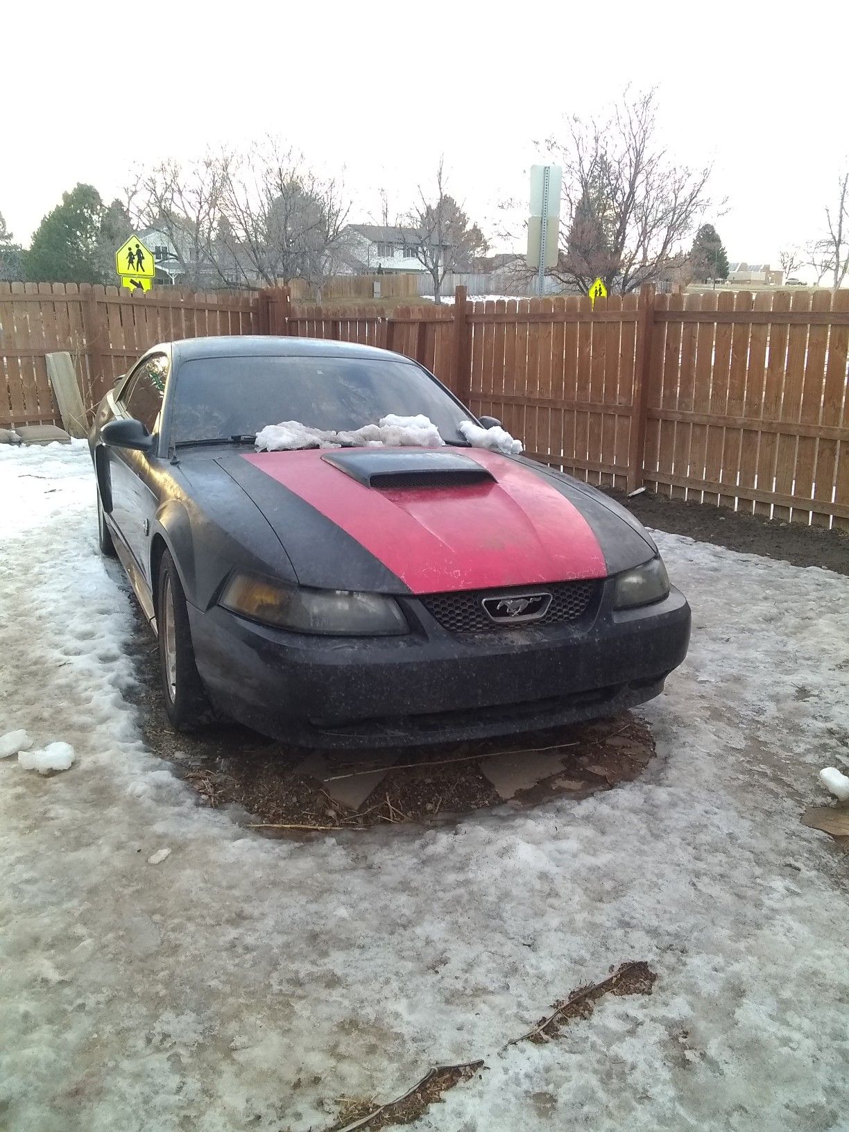 2004 Ford Mustang