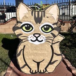 Cat Piñata 