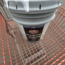 5 Gallons New Paint (Grey Color)