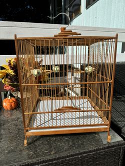 Bird Cage Bamboo 