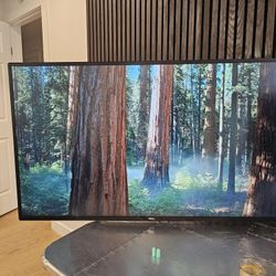 Dell UltraSharp 43 Inch Monitor - Excellent Condition 