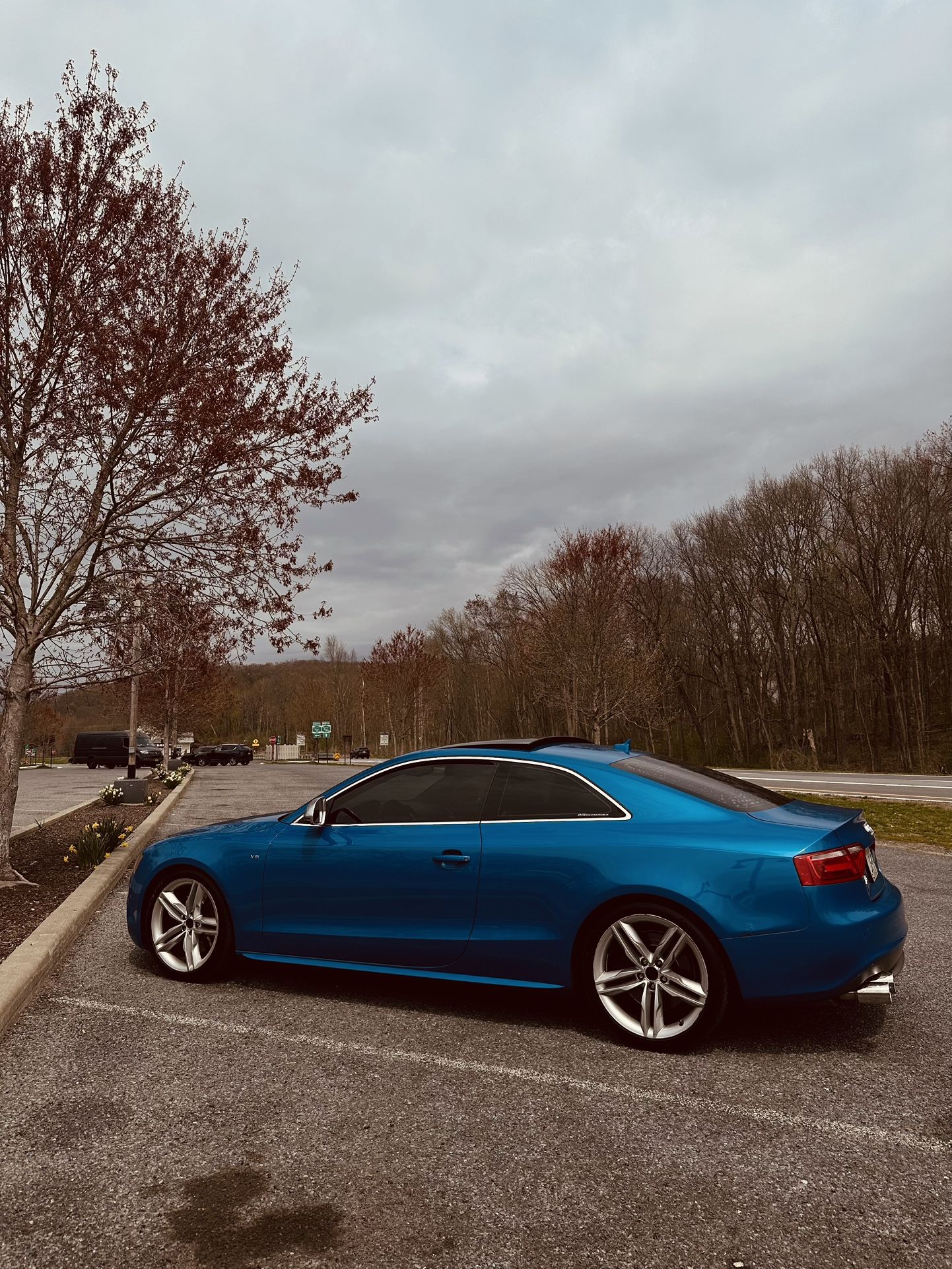 2009 Audi S5