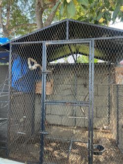 Bird Cage 