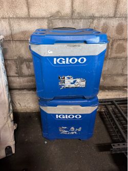Igloo cooler