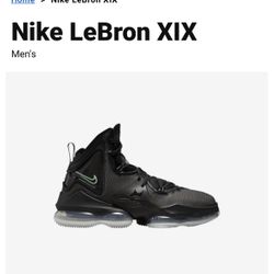 Lebron 19 (XIX) Size 11 Brand New