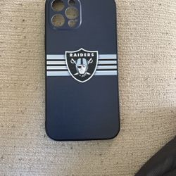 iPhone 12 Pro Max Case