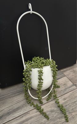 Potted Faux Succulent & Plant Hanger