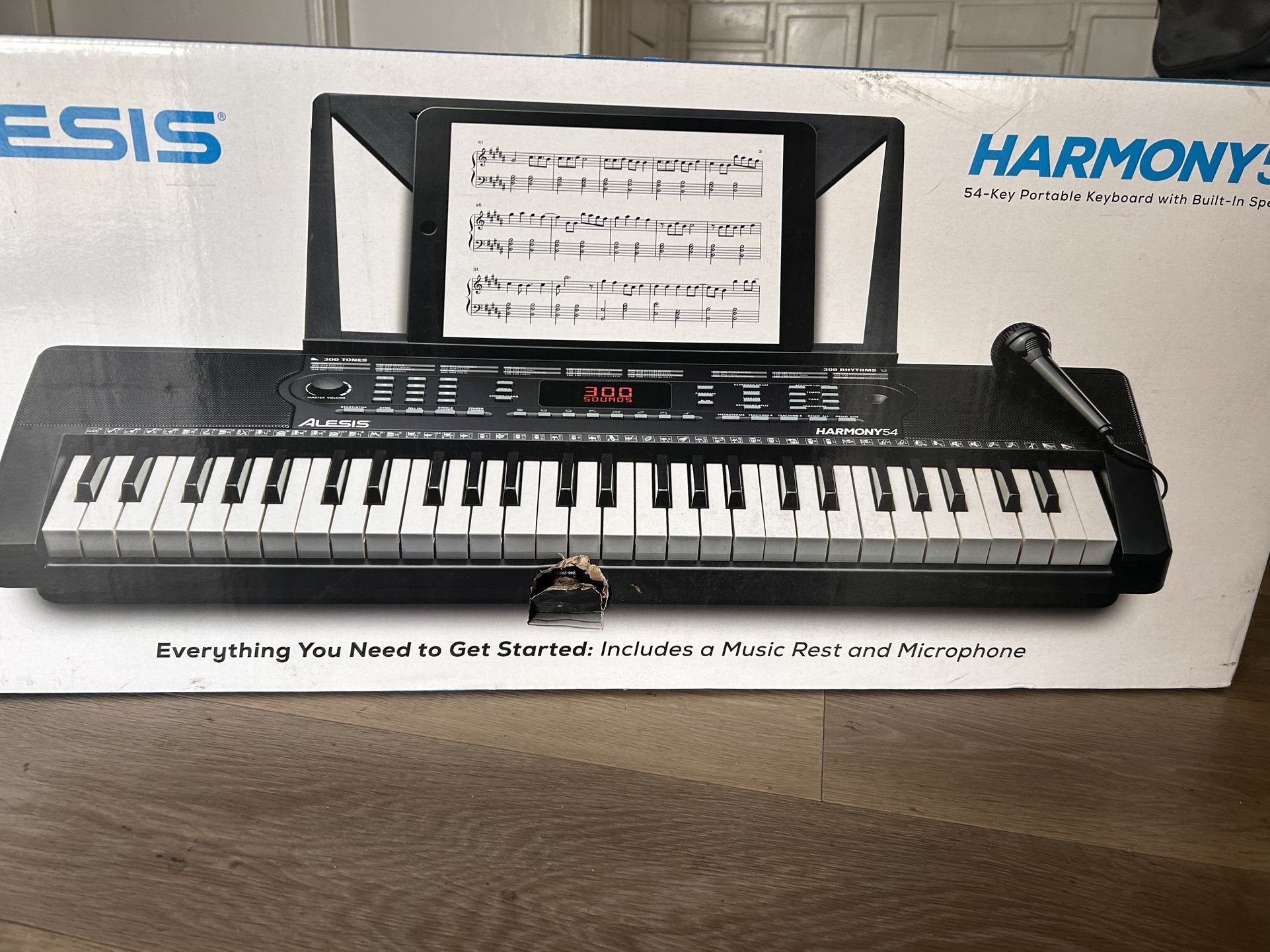 Alesis Harmony 54 Key Portable Keyboard With Build In Speakers 