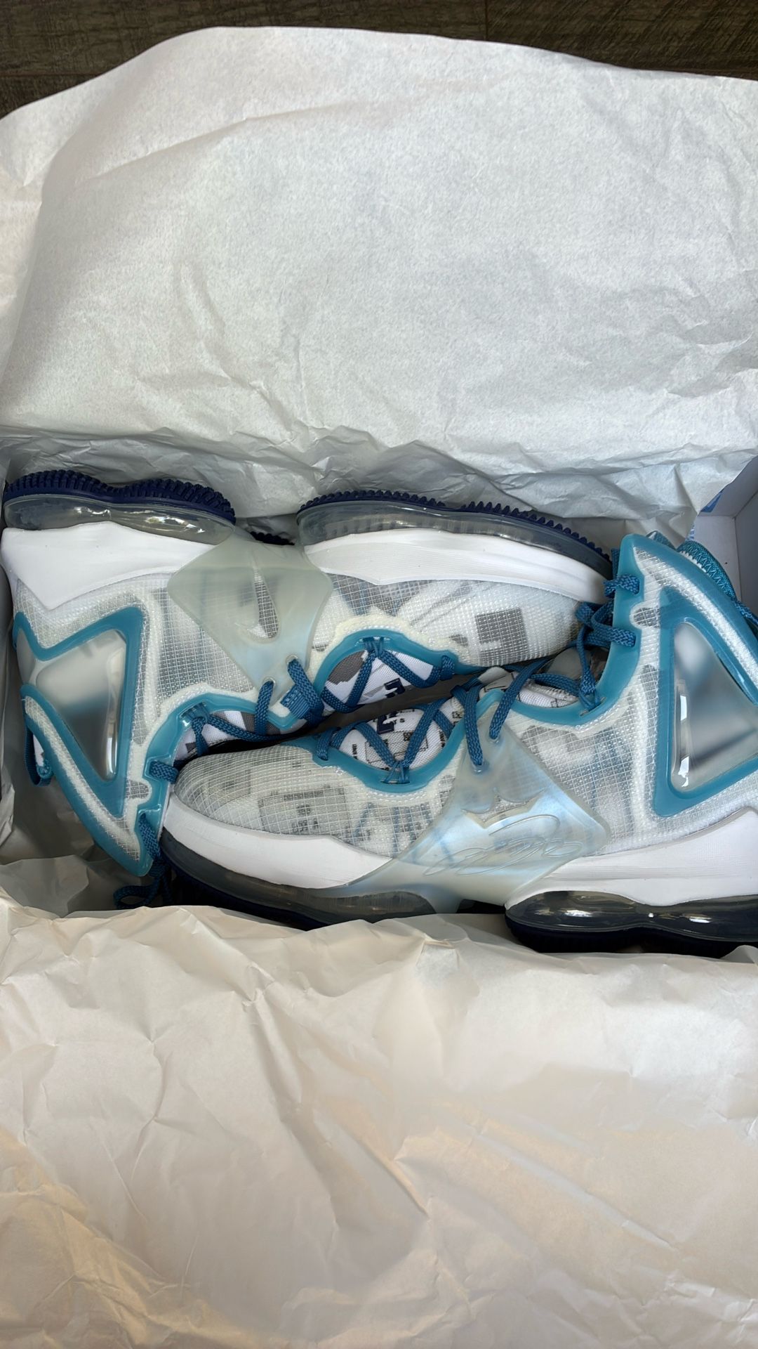 LeBron Xix