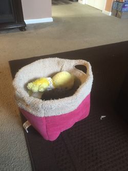 Practically New small dog plush carrier