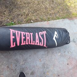 Everlast Punching Bag