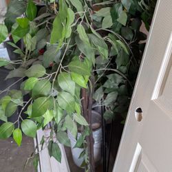 5.5 ft. Artificial Ficus Plant
