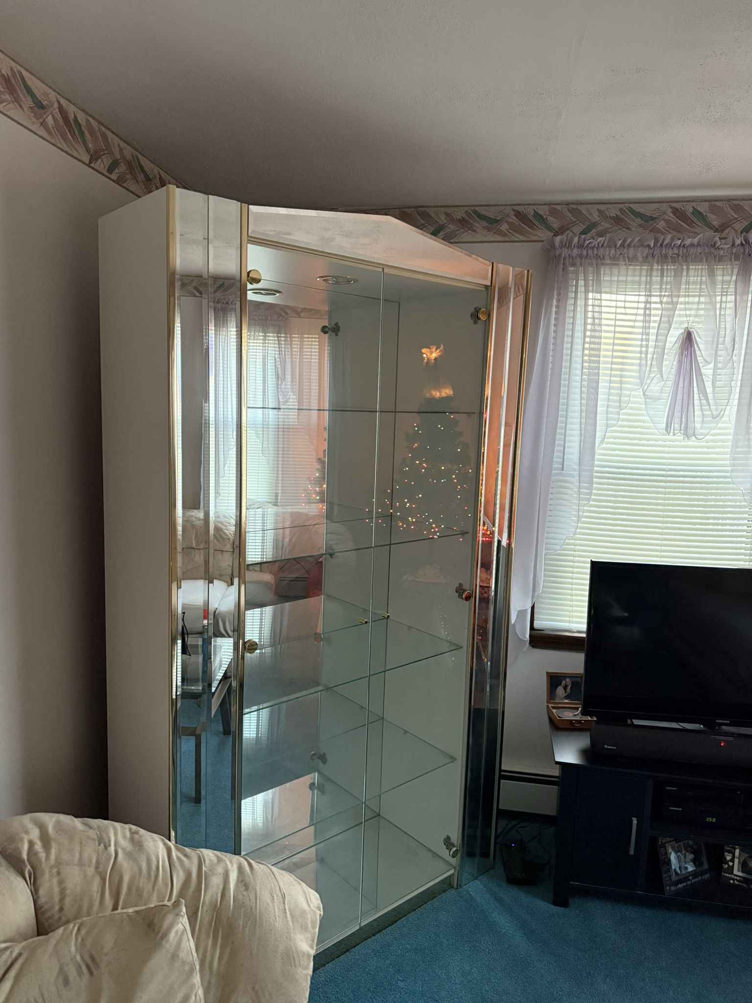 Glass Curio Display Cabinet With Over Head Light