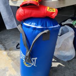 Everlast Youth Size Punching Boxing Bag With Glovrs
