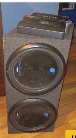 Two 20 inch speakers with 2 amps