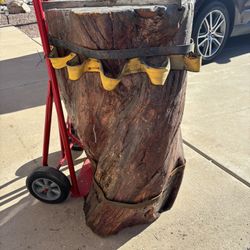 Mesquite Stump Anvil