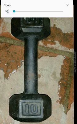 Pesa de 10 L 20 dolares