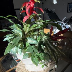 Beautiful Snail 🐌 Vase With Fake Tall Plant. 26”X26”. Sizes In The Last Picture.