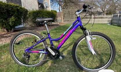 Girls Schwinn Mountain bike with big cushion seat