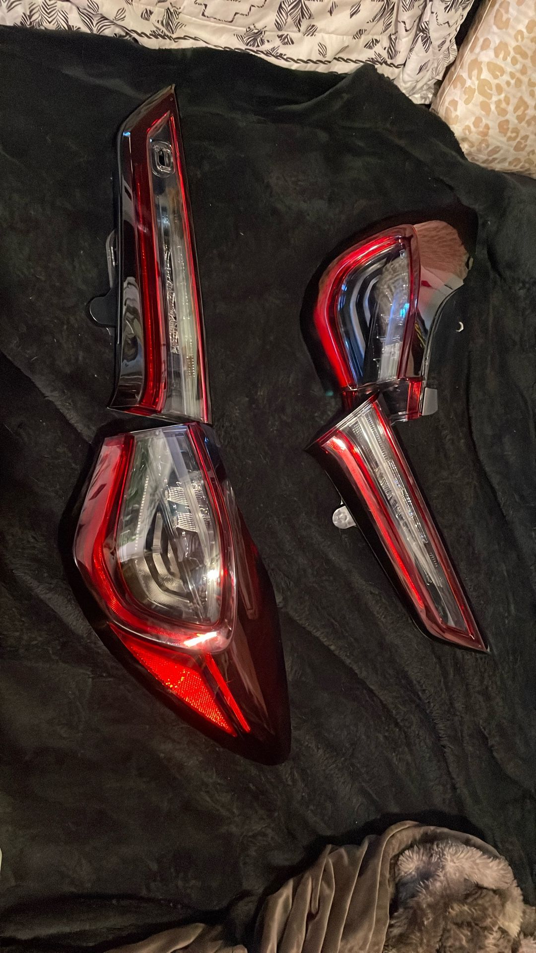 Taillights