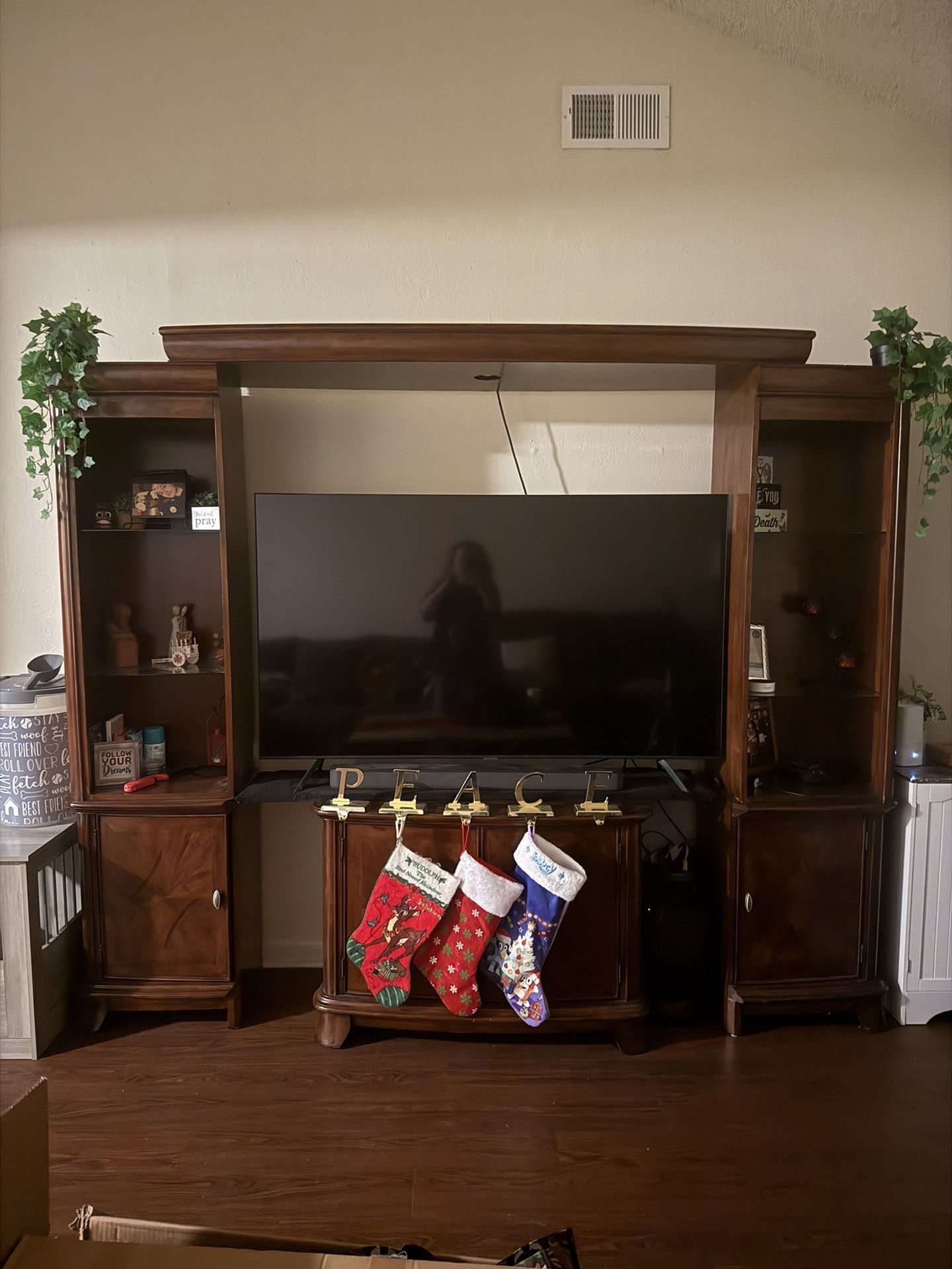 Wood Entertainment Center