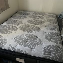 Queen Sealy Mattress with frame