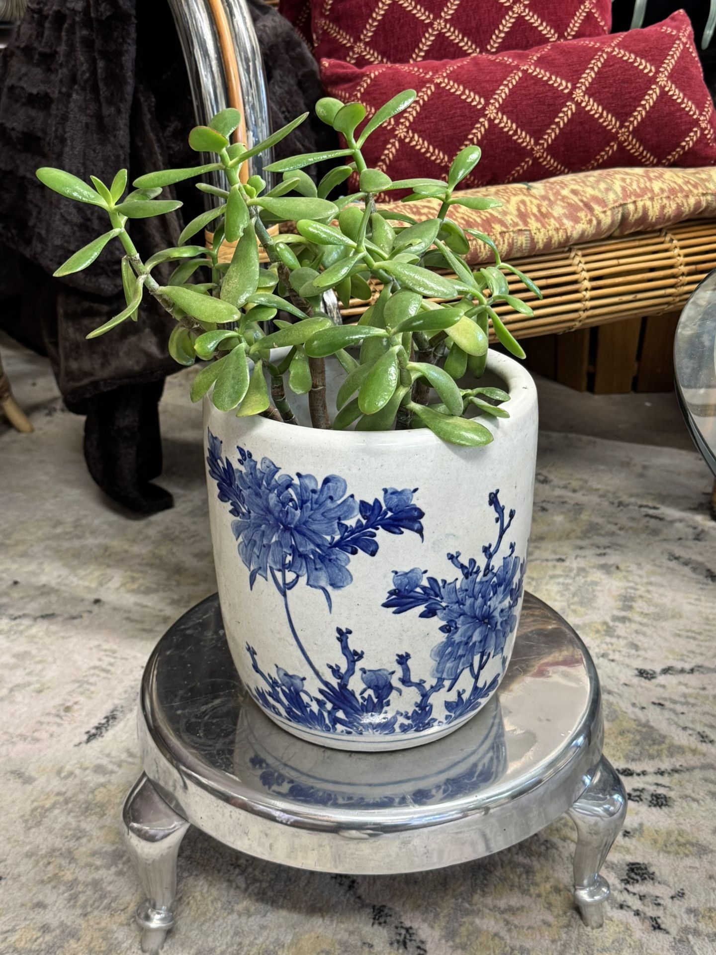 Vintage Asian Porcelain Pot Pottery With Jade Plant And Stand