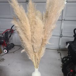 Pampas Naturales 