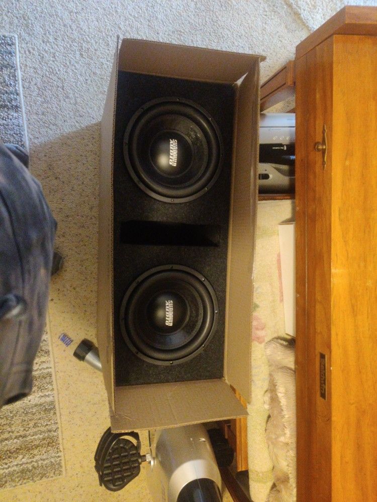 Sundown Audio 2 10 Inch Subwoofers In A Nice Box