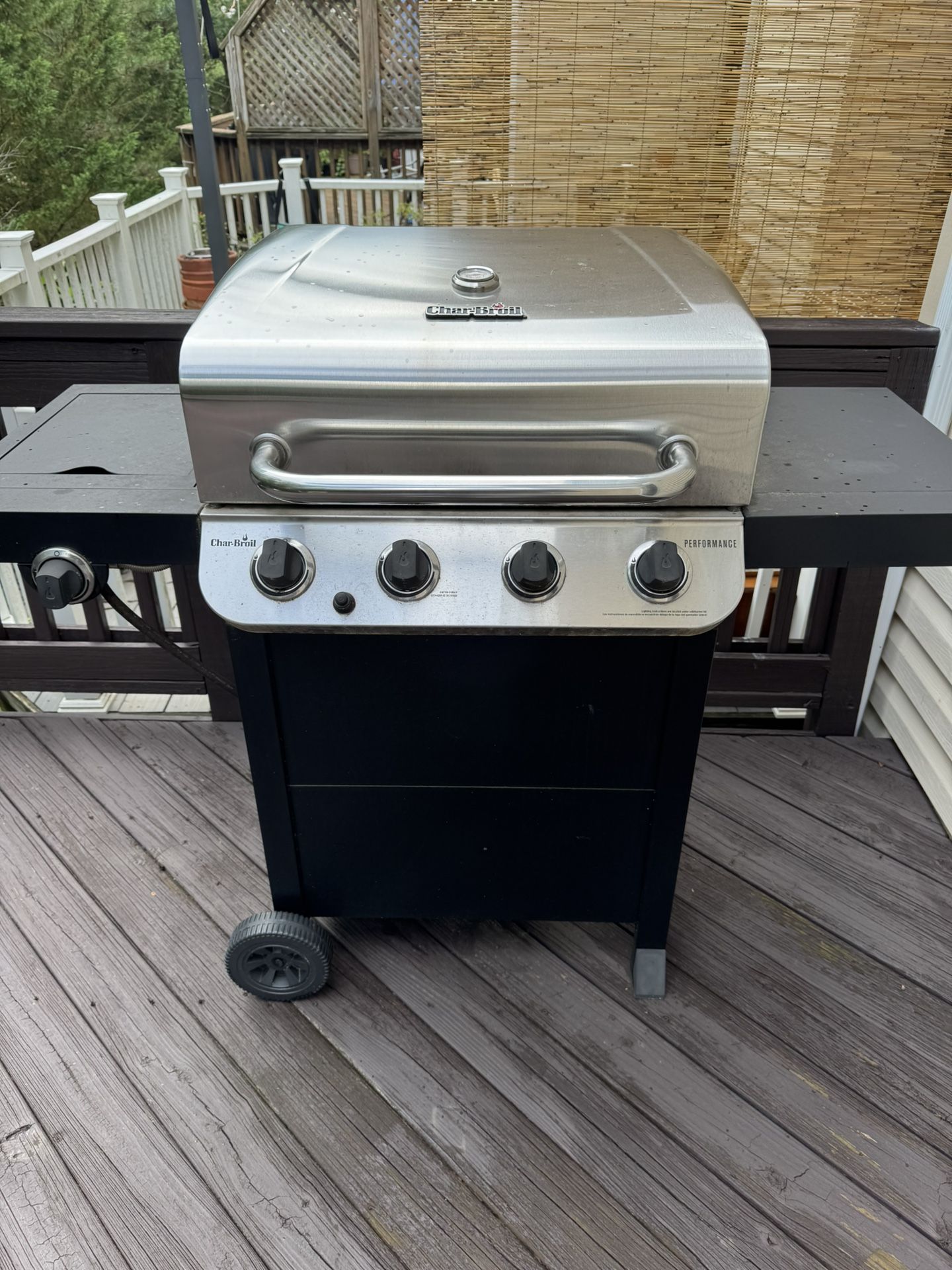 Gas Grill With Cover