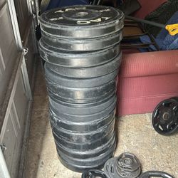 Olympic Bumper Weight Plates.  