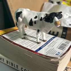 Cow