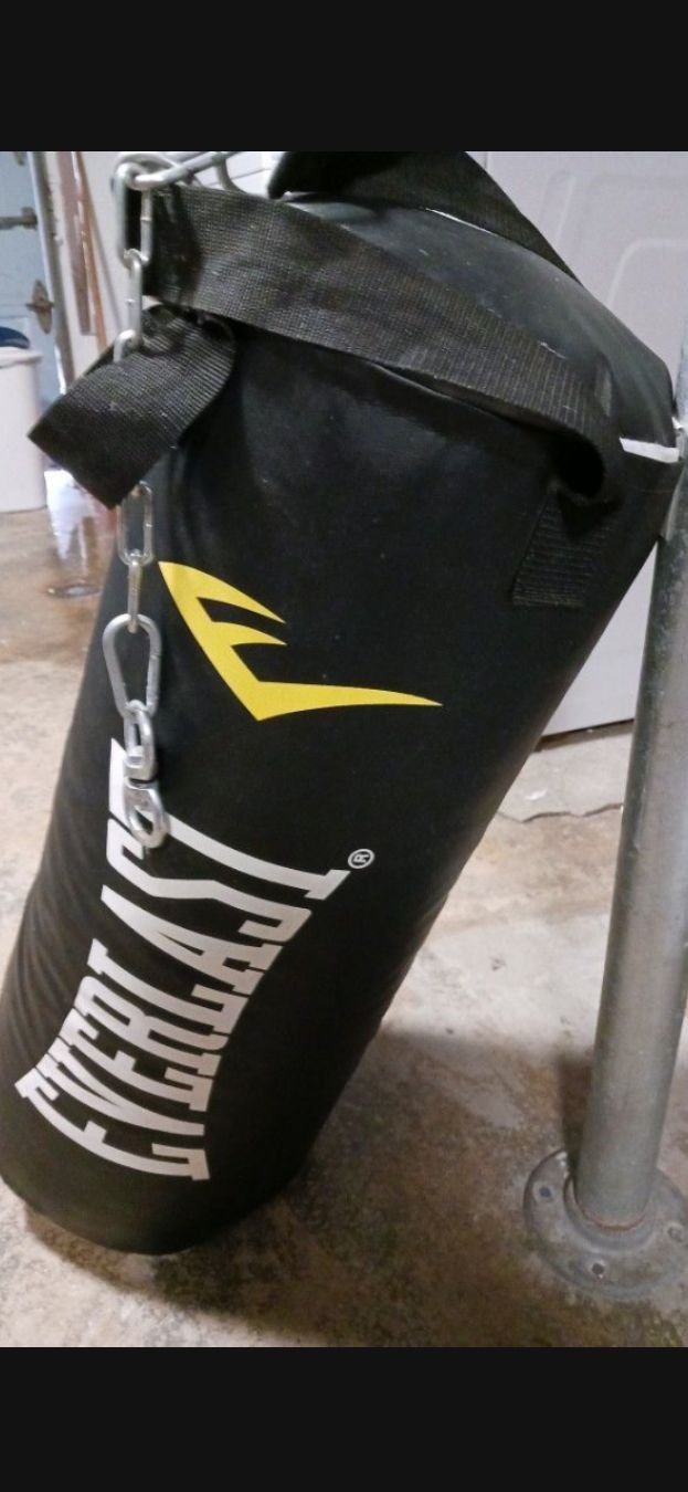 Everlast Boxing Bag