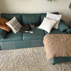 Green Couch With Pull Out Bed 