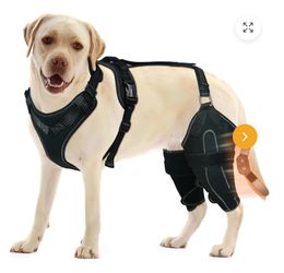 Lispoo Dog Double Knee Brace for Luxating Patella SIZE LARGE Dual-Fixation Rear Leg Support for Injury Recovery, Arthritis & Senior Dog Mobility O 453