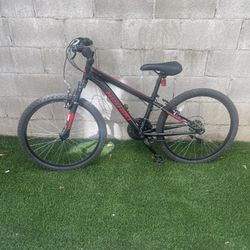 Nishiki 24 Inch Mountain Bike