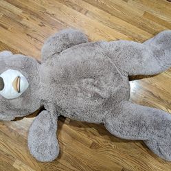 5ft Tall Plush Teddy  (From Costco) 