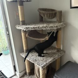 Cat Tower 