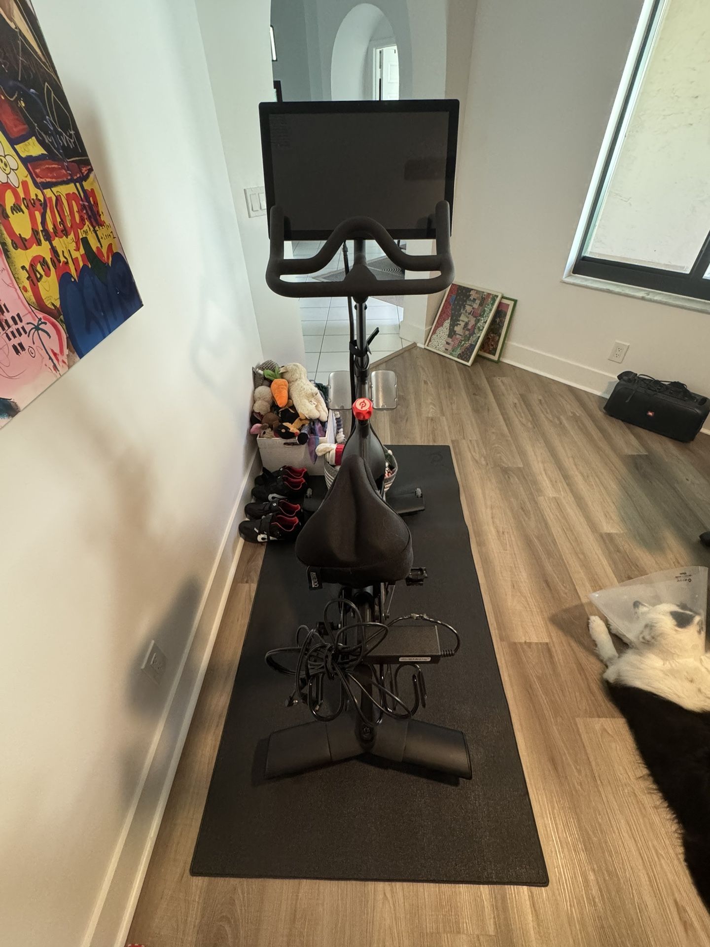 Peloton Bike