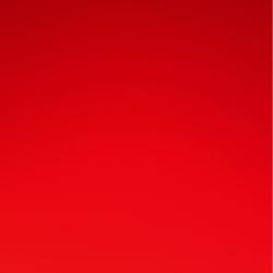 English bulldog for sale trying to find her a good family